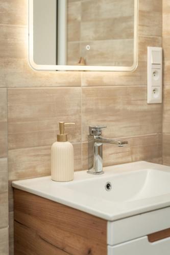 a bathroom sink with a soap dispenser on it at Pet-house in Trstice
