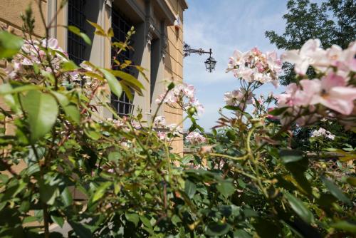 a bush of pink flowers in front of a building at Villa Socini in Siena
