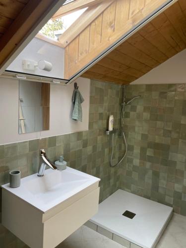 Un baño con lavabo y ducha en Two Pines Summer House in Tihany, Sajkod, en Tihany