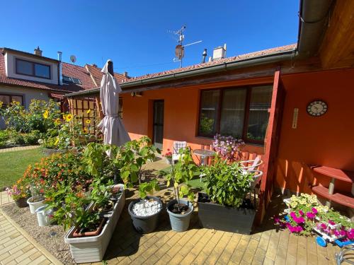 a group of potted plants in front of a house at Apartment Anna in Šakvice