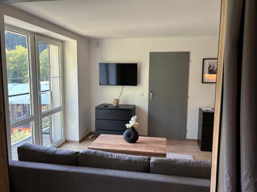 a living room with a couch and a television at Apartmány Gryf Harrachov in Harrachov