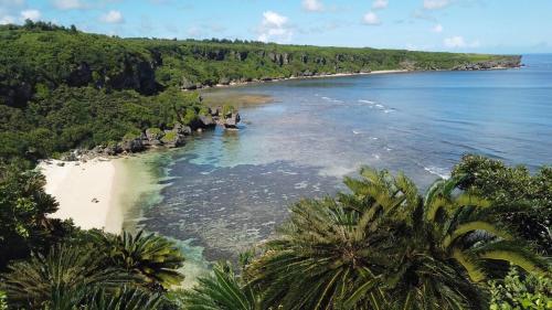 an aerial view of a beach with trees and the ocean at ゲストハウスえらぶー7 in Wadomari
