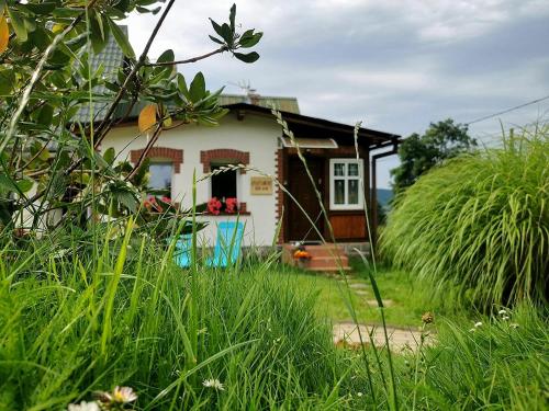 a small house in a yard with tall grass at Apartament 600 npm in Piechowice