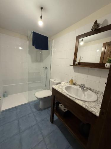 a bathroom with a sink and a toilet and a mirror at La Casería de Los Hevia 1 y 2 in Arriondas