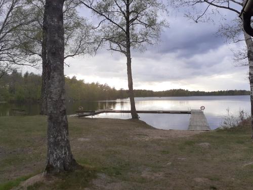 a dock in the middle of a lake with trees at Fritids hus nära natur in Skärsnäs