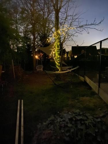 a tree with lights on it in a yard at night at Perk25A in Steenokkerzeel