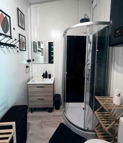 a bathroom with a shower and a sink at Vila Forest Resort in Kvietkučiai