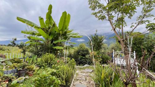 Zahrada ubytování Dali Sifan Homestay