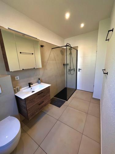 a bathroom with a toilet and a sink and a shower at Ferienwohnung mit Dachterrasse in Selb