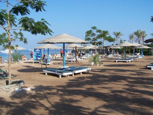 Φυσικό τοπίο κοντά σε αυτό το ξενοδοχείο