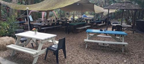 Fotografie z fotogalerie ubytování Yellowwood Forest Eco Retreat v destinaci Morganʼs Bay