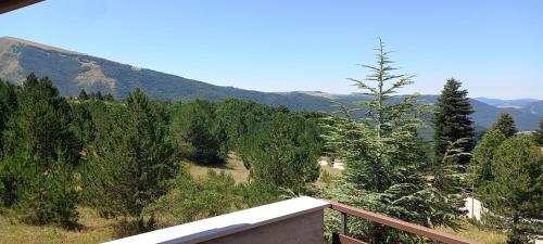 a view from a balcony of a mountain with trees at Appartamento Vecchio Sentiero in Frontignano di Ussita