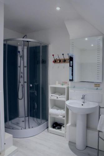 a bathroom with a shower and a sink at Hotel Restaurant Le Lion Verd in Putanges