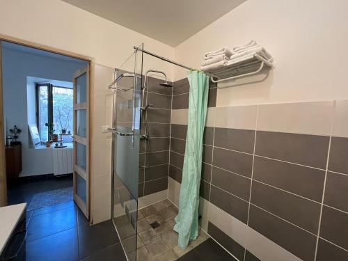 a bathroom with a shower with a shower curtain at La Ruelle in Die
