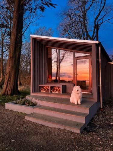 a dog sitting on the steps of a tiny house at Off Grid Travel at Cambo Estate in St. Andrews
