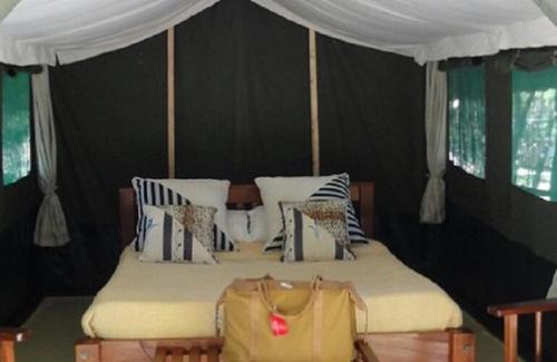 a bed in a black room with a white canopy at Mara Sidain safaris in Sekenani