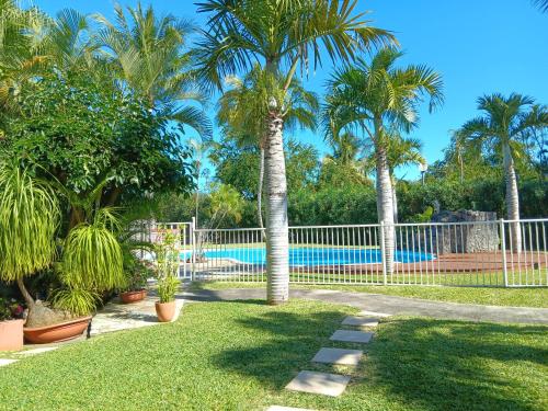 a yard with palm trees and a swimming pool at Le Soa - piscine - jardin - parking - clim - wifi in Saint-Gilles-les-Bains