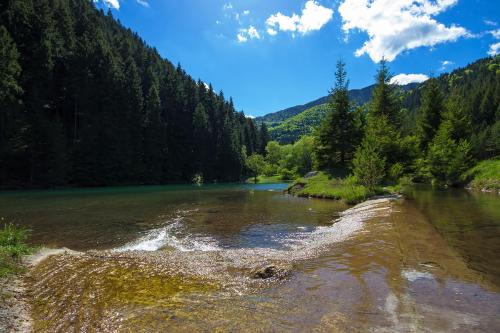 a river with trees and a mountain in the background at U dobrého pastiera in Ružomberok