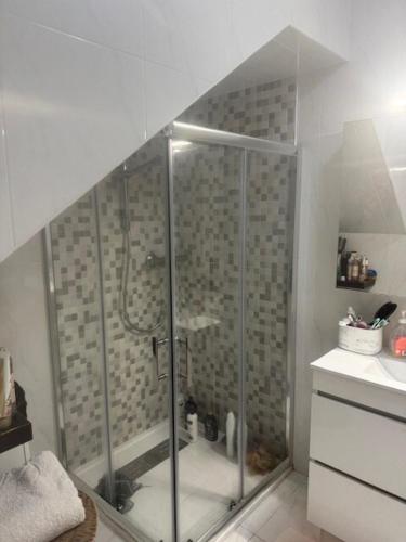 a bathroom with a shower with a glass enclosure at Beautiful duplex with sea view in Vila Praia de Âncora