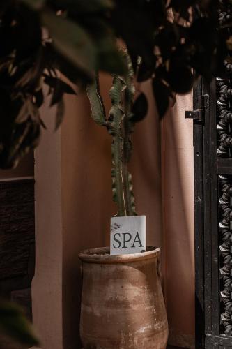 a plant in a pot with a sign that reads spca at Riad Kasbah privilège and SPA in Marrakech