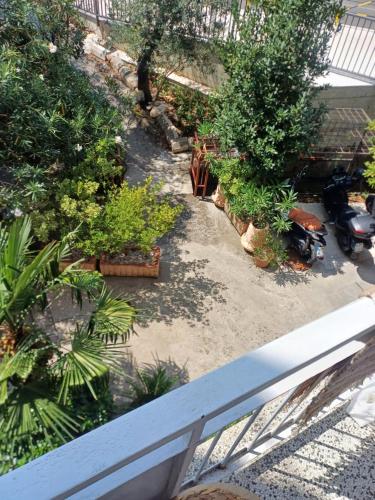an overhead view of a garden with trees and plants at Pampas Family Apartment in Dobrota