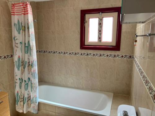 One bedroom apartament tenerife south