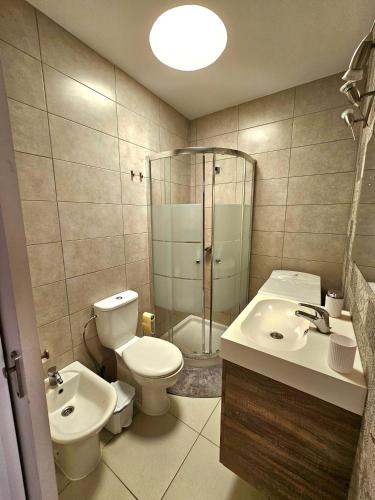 a bathroom with a toilet and a sink and a shower at Estrella apartment in Costa Del Silencio