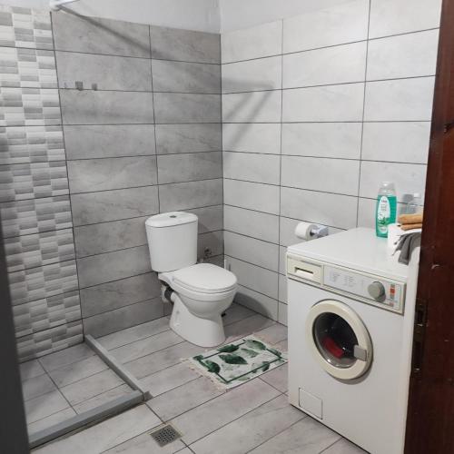 a bathroom with a toilet and a washing machine at Trikala Groundhouse in Rizareión