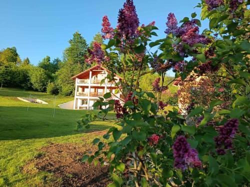 a house behind a bush with purple flowers at Nonićeva Hiža in Fužine