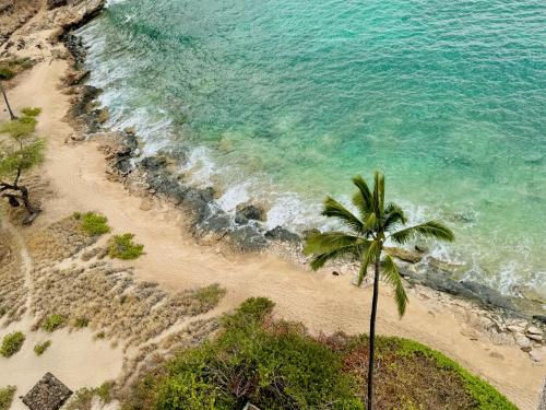 an overhead view of a beach with a palm tree at #Marbella Lane - Beachfront Haven with MT Views! in Waianae