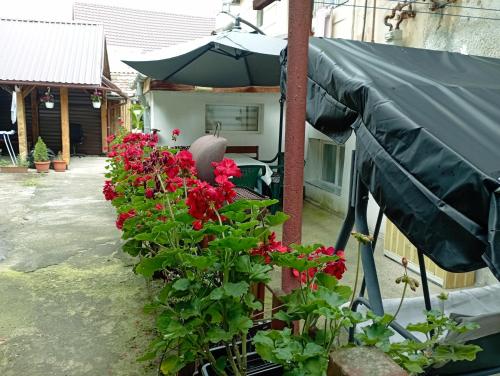 a garden with red flowers and an umbrella at Casă ultracentral in Făgăraş