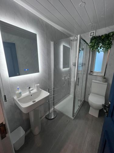a bathroom with a sink and a shower and a toilet at The C Den Amazing Seaview, ground floor, free wifi & parking in Whitehead
