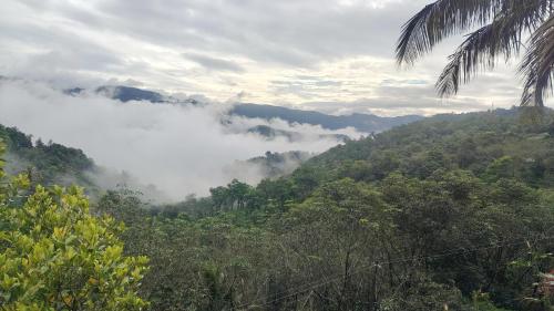 a view of a mountain with clouds in the forest at Skylark Homestay Panchalimedu in Pīrmed
