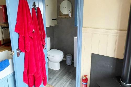 a bathroom with a toilet and a red robe at Noahs Ark Shepherds Hut in Launceston
