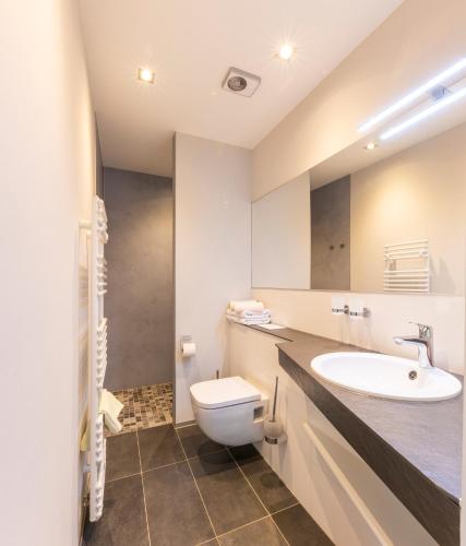 ツェラ・メーリスにあるHotel Stadt Suhlのトイレと洗面台付きのバスルーム