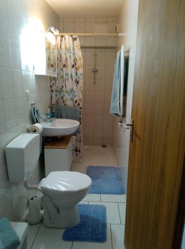 a bathroom with a toilet and a sink at Schönes Studio Appartment in Saarlouis