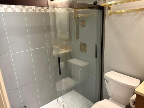a bathroom with a glass shower with a toilet at Downtown Charleston Condo in Charleston
