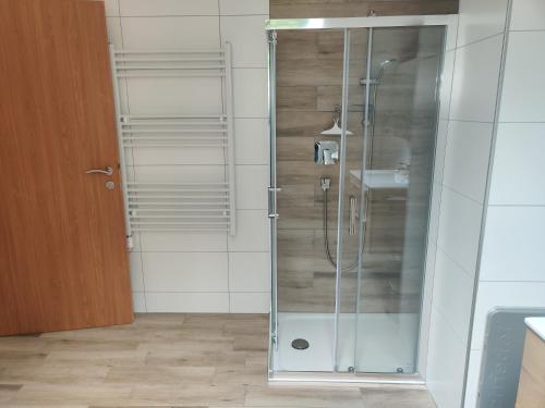 a shower with a glass door in a bathroom at Ferienwohnung Oberreiter in Sandl