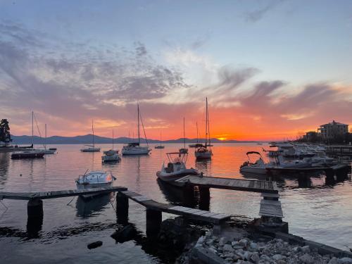 ZADAR Borik