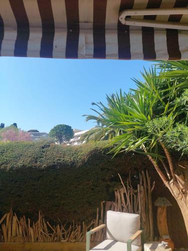 T2 cosy à Antibes photo 15