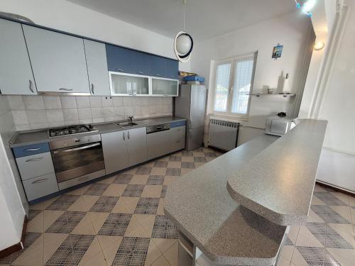 a large kitchen with a counter top in a room at Apartment Kaktus in Pirovac