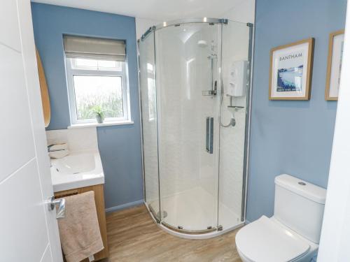 a bathroom with a shower and a toilet and a sink at Thurlestone, 1 Island View in Kingsbridge