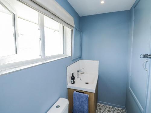 a blue bathroom with a sink and a toilet at Thurlestone, 1 Island View in Kingsbridge
