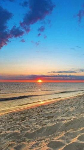 Avenue Alhambra princess resort