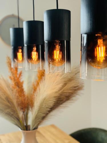 a group of lights with feathers in a vase at Design City Apartment, Dachterrasse, Top Lage in Schwetzingen