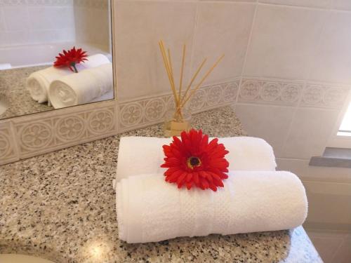 Pilar 2 Stay Funchal, by Specialstays