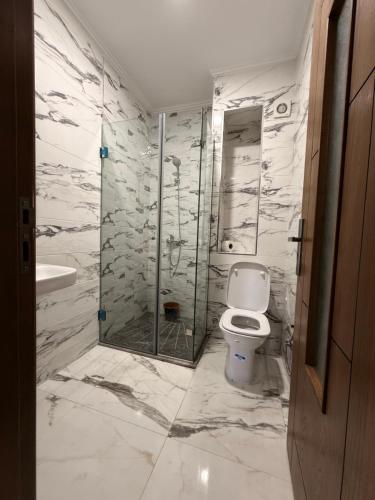 a bathroom with a shower and a toilet and a sink at Residence Plaza de Toros in Tangier
