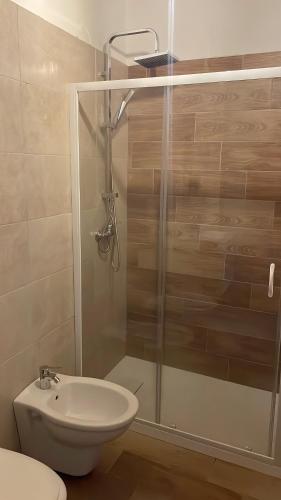 a bathroom with a shower with a toilet and a sink at Wake&Relax in Decollatura