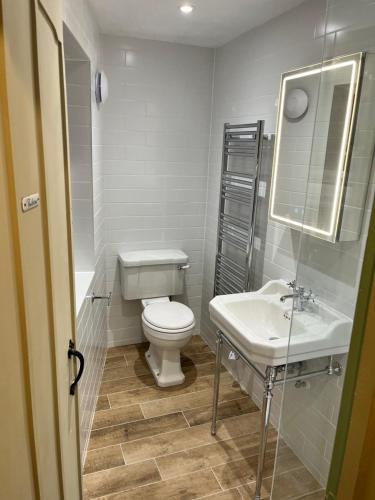 a bathroom with a toilet and a sink at Charming countryside cottage in Bekesbourne