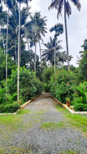 a gravel driveway with palm trees and flowers at Cottage on Riverside in Irinjālakuda